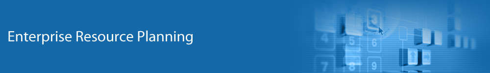 Enterprise Resource Planning (ERP) 